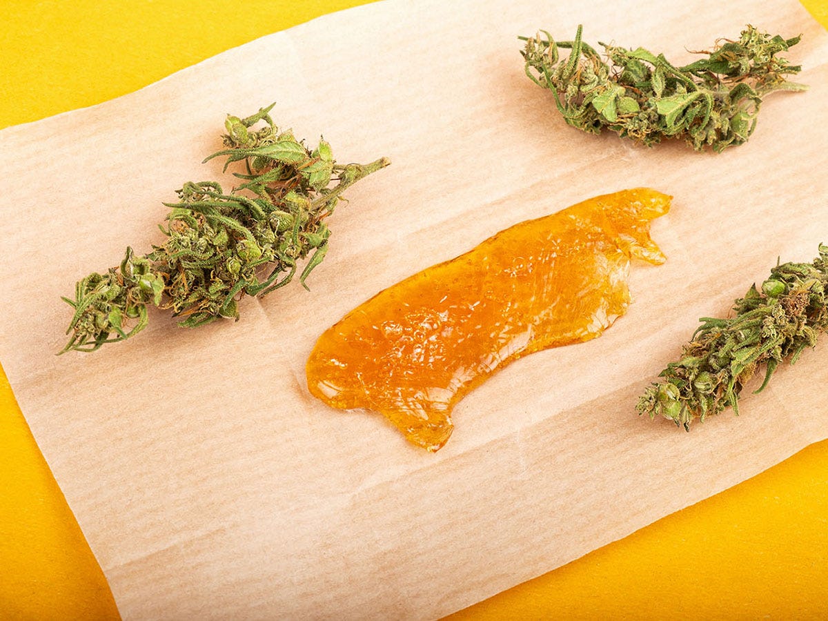 Live rosin on parchment paper surrounded by three cannabis flower buds