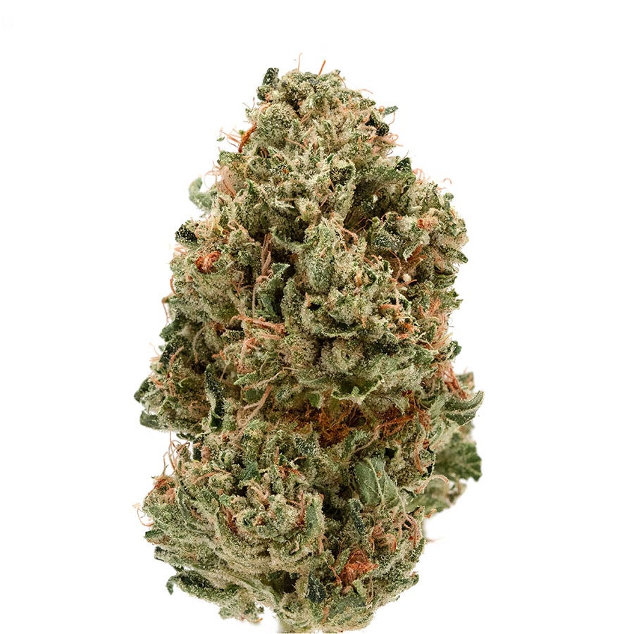 Nuggest of OG Kush cannabis flower