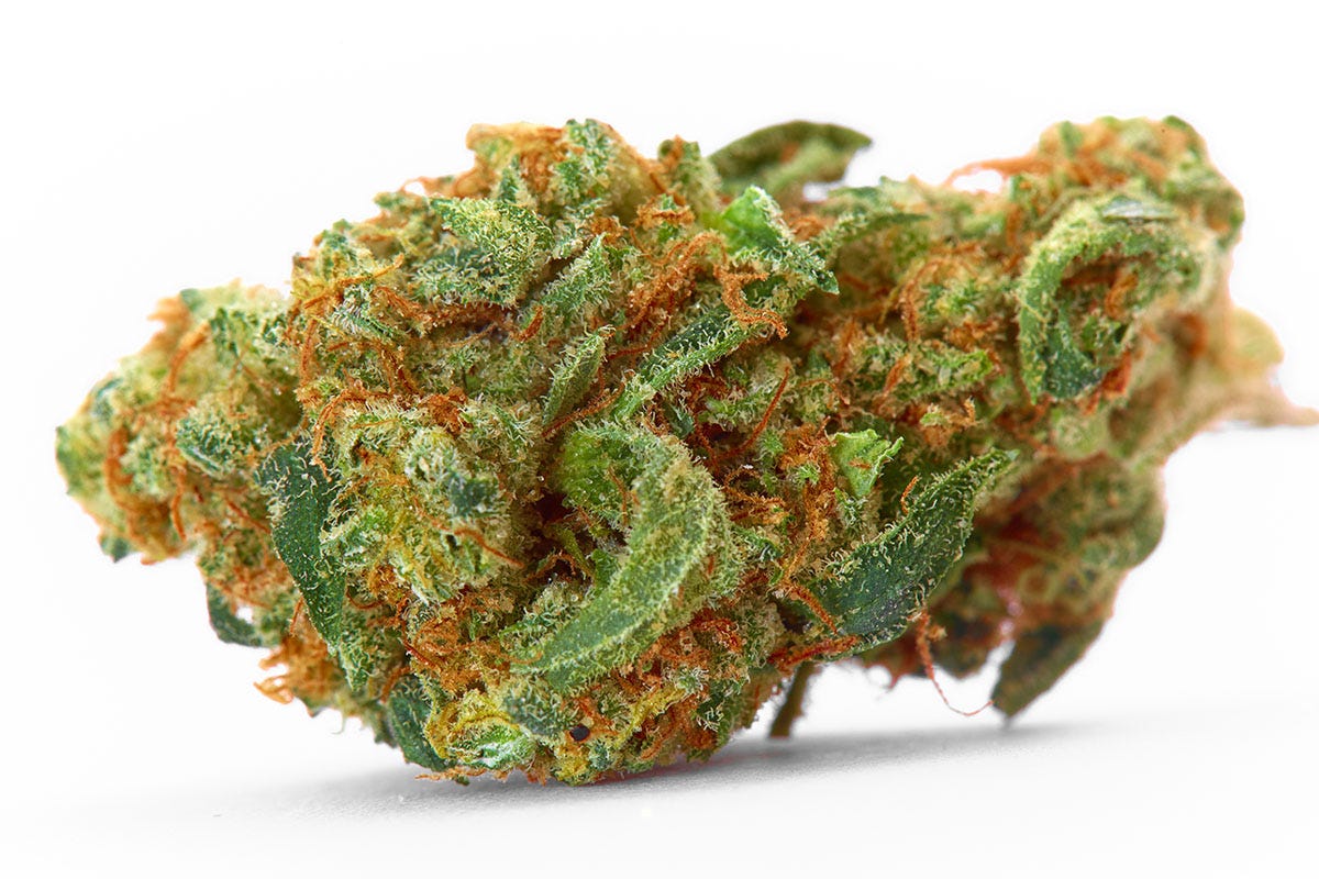 Space Queen cannabis flower