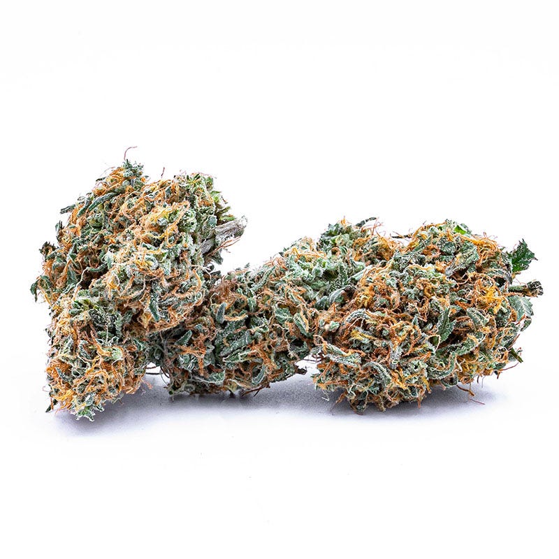 Three cannabis flower buds on a white background