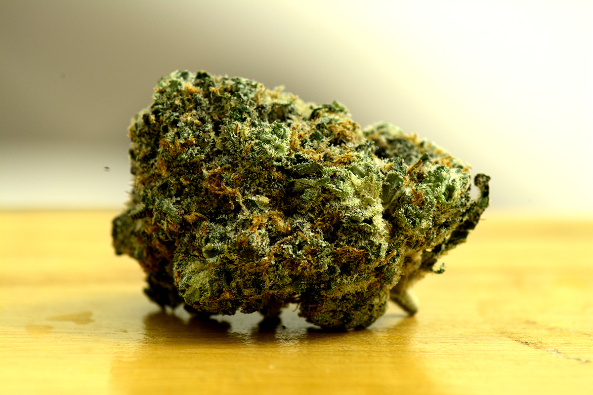 Rainbow Sherbet cannabis flower bud