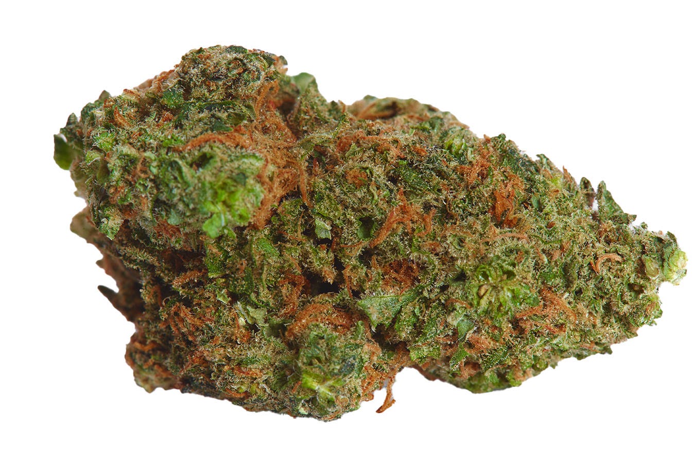 Strawberry Cough flower bud
