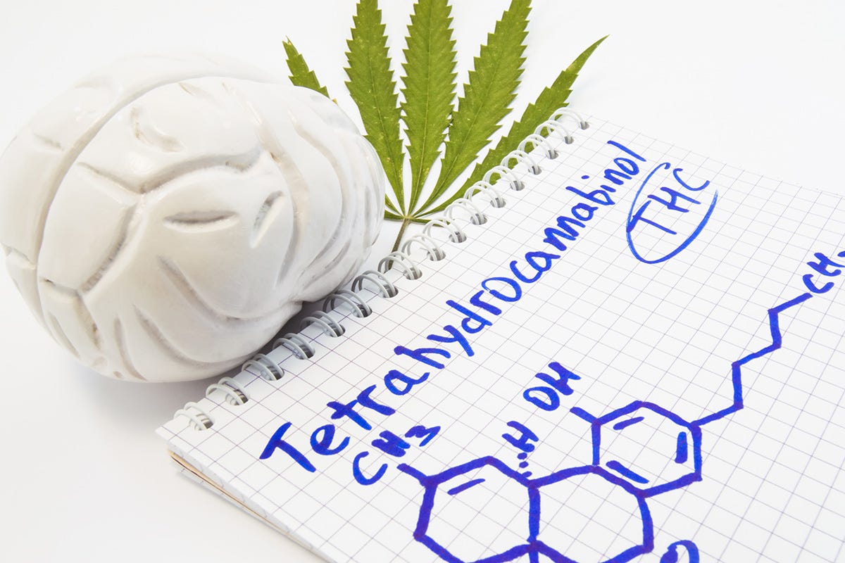 Brain next to cannabis leaf on top of a notebook that contains THC info
