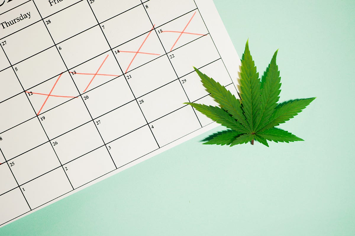 Calender with a cannabis leaf next to it