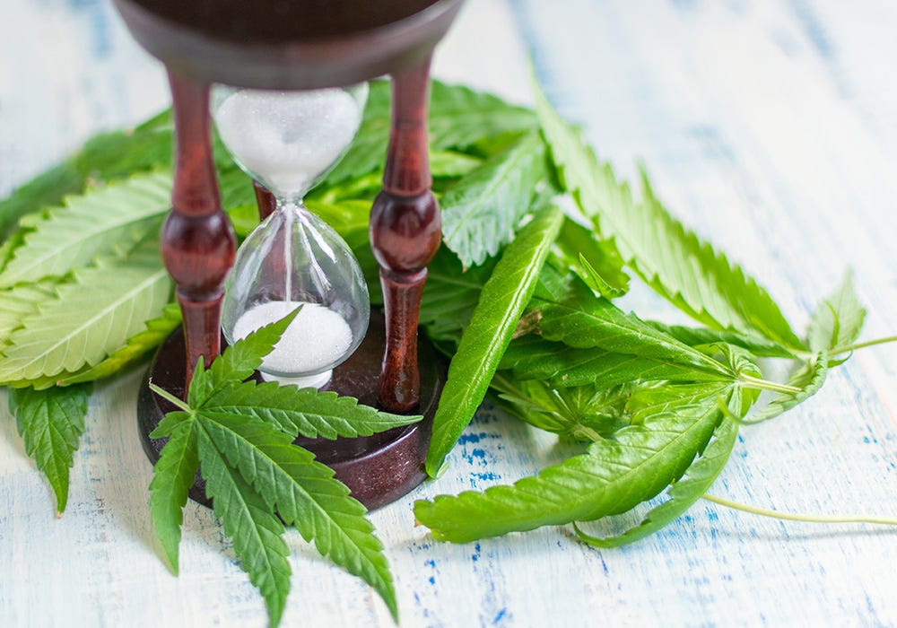 Hour glass with cannabis leaves at the base