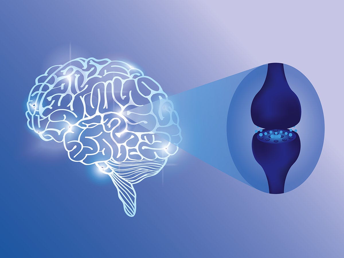 Illustration of a brain with a call-out of an endocannabinoid receptor