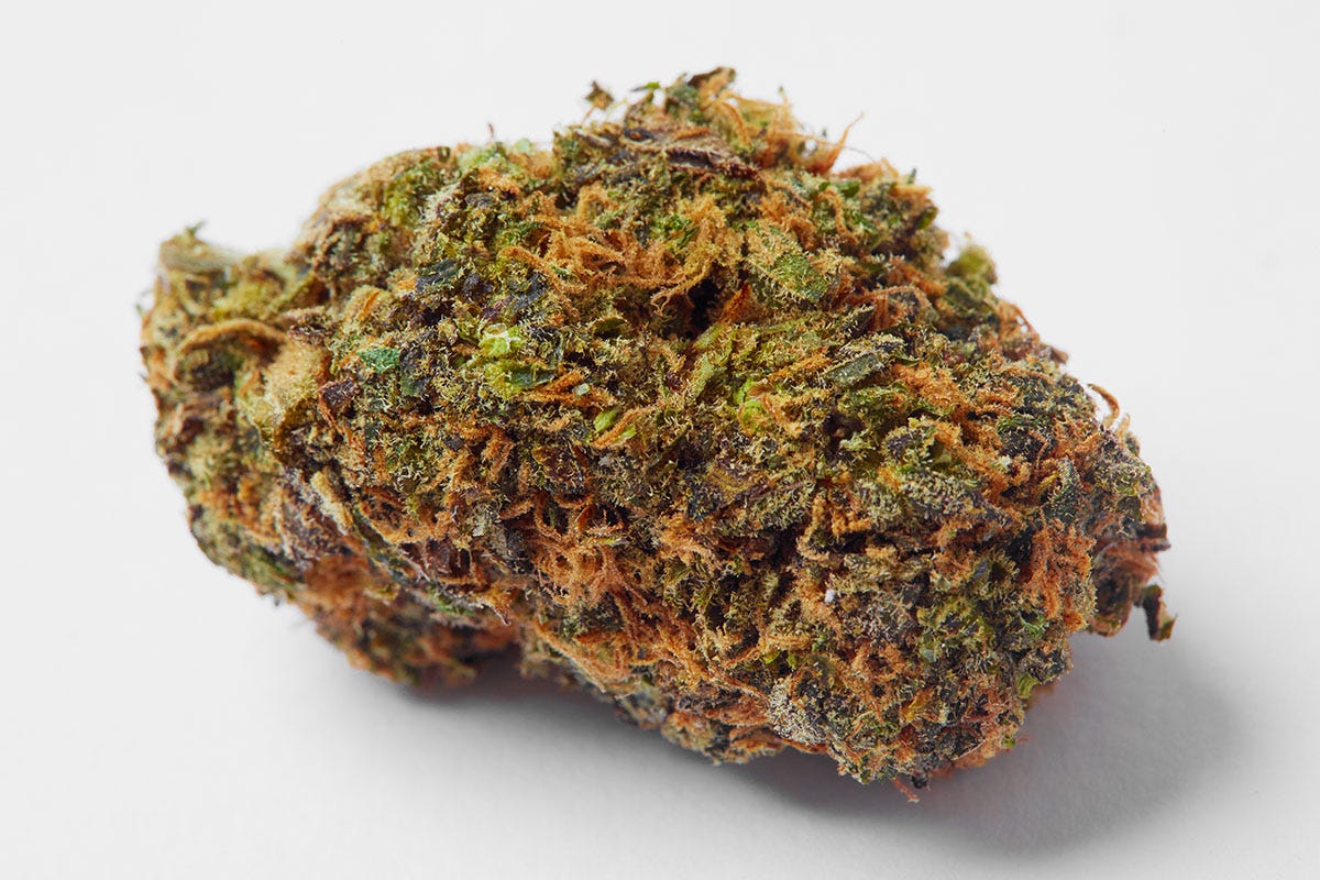 Cannabis flower nugget of Clementine strain