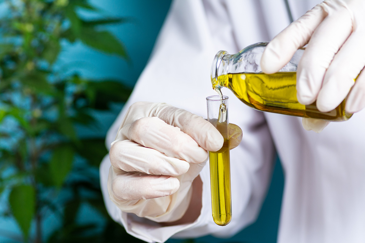 Cannabis extraction in a lab