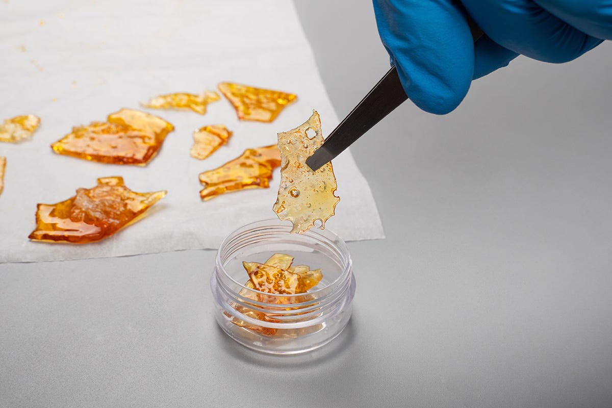 Gloved hand picking up shatter with tweezers in a lab setting