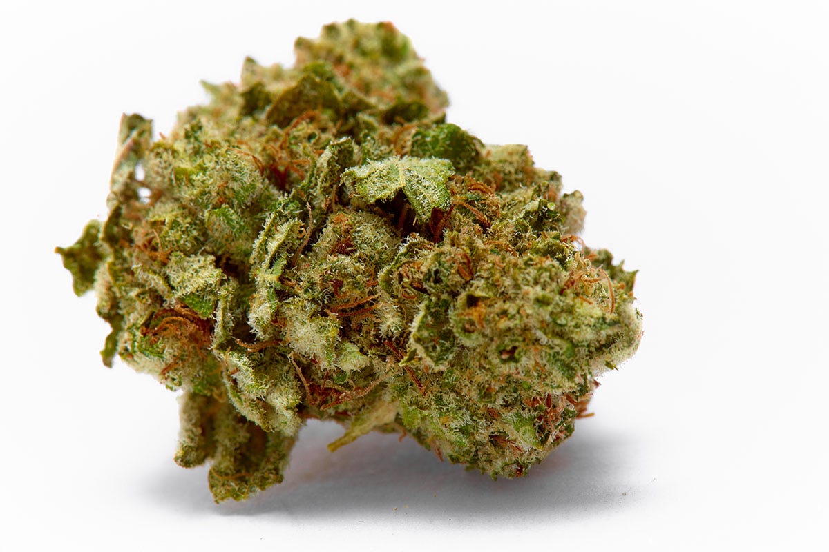 Cannabis bud of Sour Diesel