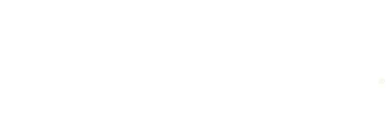 Good Tide logo